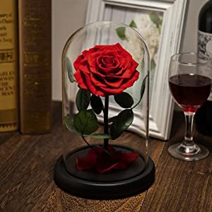 Dôme de verre magnifique, 7-8 cm, D12 H20, fausses fleurs romantiques, couleur violette, pour <span class=keywords><strong>la</strong></span> <span class=keywords><strong>belle</strong></span> <span class=keywords><strong>et</strong></span> <span class=keywords><strong>la</strong></span> bête - Product Image 4