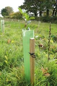 Láminas de Plástico Corrugado PP Duraderas y Estables para Protectores de Árboles, con Servicio de Corte, Tamaño Personalizado, Grosor de 1.5-6 mm - Product Image 5