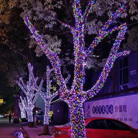 Guirlandes lumineuses LED d'extérieur 12V RGB Aurora pour arbres de Noël, décoration de jardin et de rue
