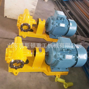 Pompe à engrenages Keston en acier inoxydable 304, 100 LPM, 58 M de hauteur de refoulement, pompe de transfert de fluides industrielle rotative électrique - Product Image 2