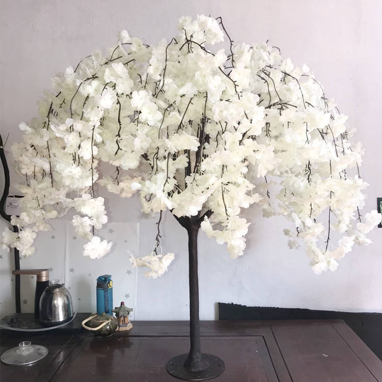 cherry blossom tree 3ft