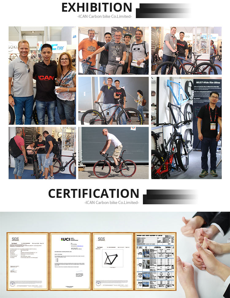 ICAN Company Wholesale Folding Bike High Quality Carbon Frame