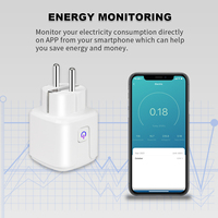 Bingoelec Smart WiFi Tuya Smart Life App Control Socket Eu Plug Outlet Chargeur Pour Alexa Google Home