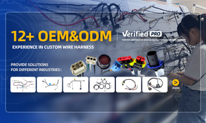 Lesun自動車用配線ハーネスODM/OEM <span class=keywords><strong>Canbus</strong></span>ボックスアセンブリケーブル車両用 - Product Image 6