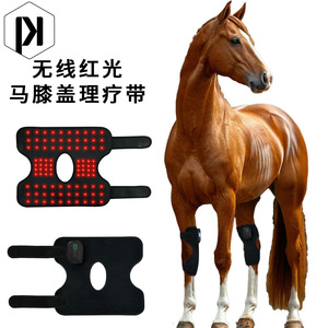 Coussin de thérapie infrarouge pour genou de cheval, dispositif de physiothérapie sans fil à lumière rouge pour le soin des articulations des chevaux - Product Image 1