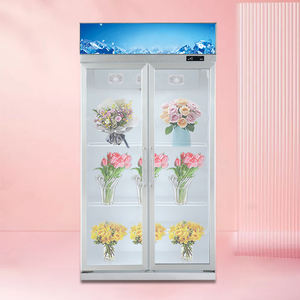 <span class=keywords><strong>ตู้</strong></span>เย็นเก็บ<span class=keywords><strong>ดอกไม้</strong></span><span class=keywords><strong>สด</strong></span><span class=keywords><strong>ดอกไม้</strong></span>สองประตู<span class=keywords><strong>ตู้</strong></span>โชว์แนวตั้งดอกไม้ตู้โชว์แอร์เย็น - Product Image 6