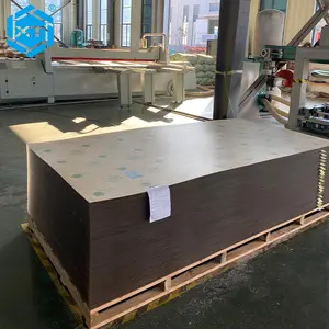 Xintao Factory Wholesale 1220*2440mm Clear Pmma Perspex Panel Cast Acrylic Sheet