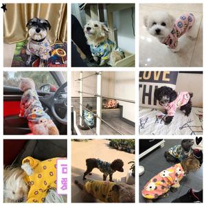 Ensemble de printemps pour animaux domestiques, pull en tissu doux et respirant, pour chiot, vêtements pour chiens - Product Image 3