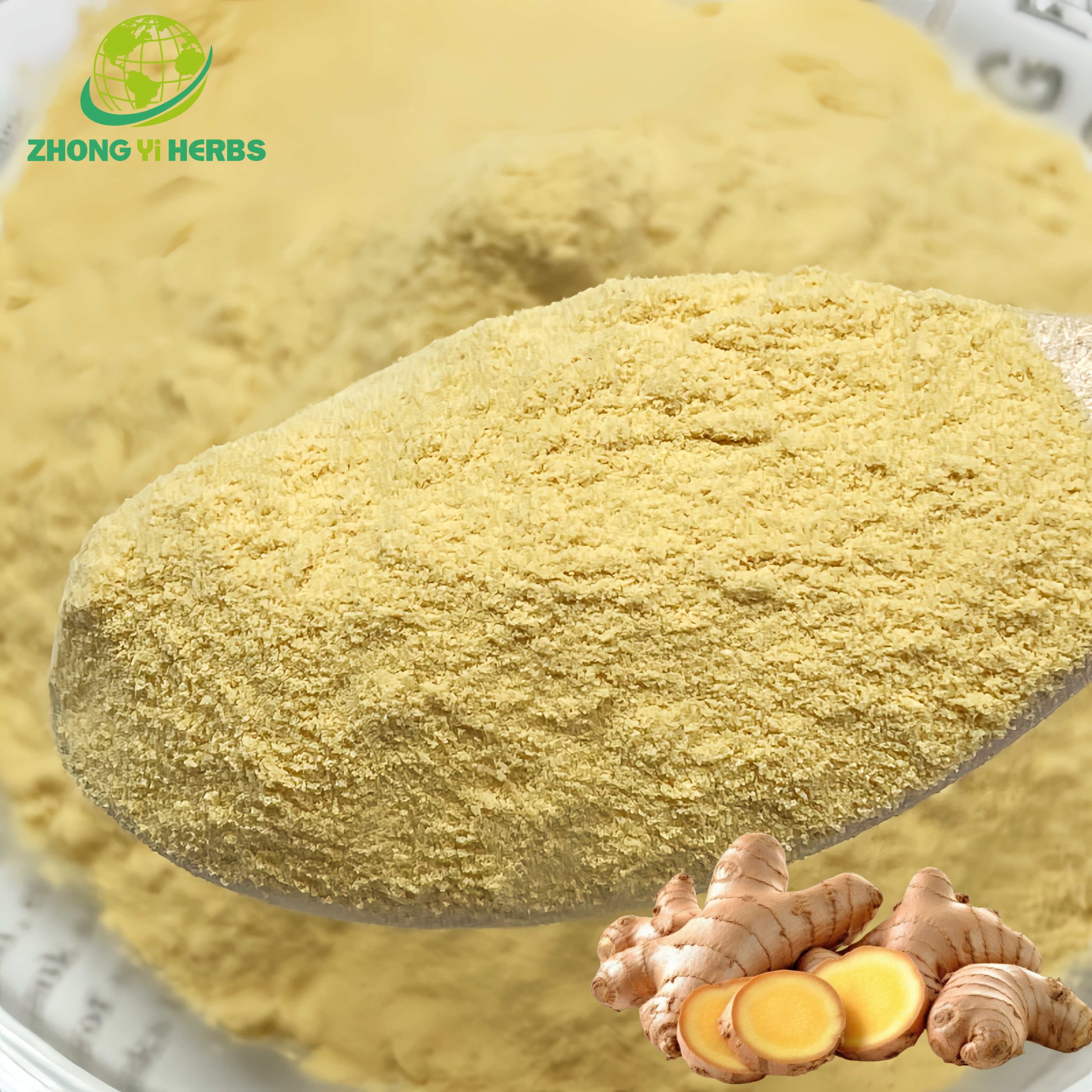 Supply Natural Organic Ginger Root Extract Powder Gingerol 5% Ginger Extract