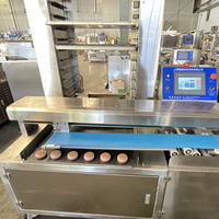 Ligne automatique multifonctionnelle de machine de fabrication de maamoul de date de SV- 208 machine de fabrication de gâteau de lune