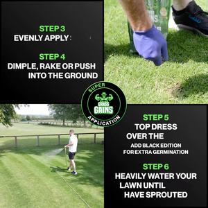 Garden Fast-Growing Premium Lawn, paquet de 1 kg, herbe de seigle vivace/fescue rouge grimpante, traitement Headstart Gold pour les zones ombragées - Product Image 6