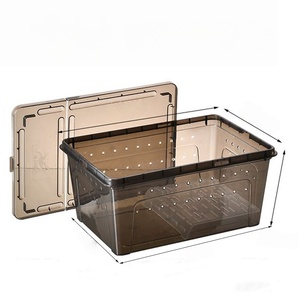Boîte de reproduction pour reptiles en plastique transparent, boîte de transport pour gecko, serpent, araignée, boîte de reproduction pour reptiles - Product Image 3