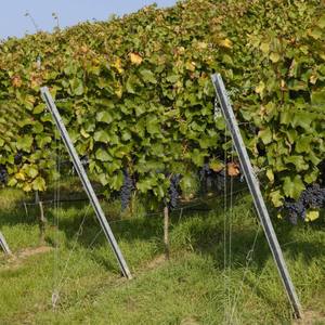 Poteau de signalisation carré perforé en acier galvanisé, poteaux en U, poteaux en U avec trous, kit de poteaux de signalisation - Product Image 4