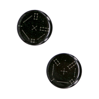 Etiqueta Epoxi RFID Personalizada a Prueba de Agua, ISO14443A 13.56MHz 30mm 213, Etiquetas NFC para Etiquetas Inteligentes Programables, Acceso a Redes Sociales
