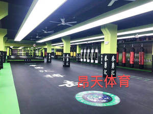 롤 레슬링 스포츠 퍼즐 폼 롤아웃 매트 mma bjj 바닥 다다미 매트 - Product Image 6