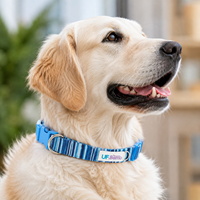 Collier pour chien en nylon écologique à libération rapide, accessoires personnalisés pour animaux de compagnie, vente en gros