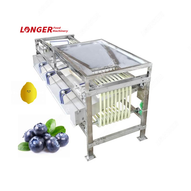 Blueberry Sorting Machine|lemon Sorter Machine