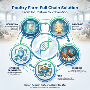 Aminoácidos de Grado Alimenticio para un Crecimiento Rápido en Pollos de Engorde y Gallinas Ponedoras para Aumentar la Producción de Grasa y Huevos 100g Vida Útil de 2 Años - Product Image 2