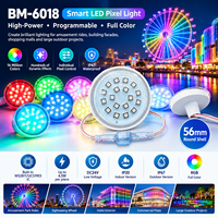 Décorations lumineuses permanentes pour les fêtes, éclairage programmable à LED RGB Pixel, DC24V WS2811, étanche, lumières de Noël pour l'extérieur