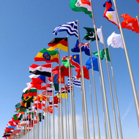 Drapeau promotionnel personnalisé des Émirats arabes unis drapeau de Dubaï avec produit personnalisé par injection directe numérique coloré