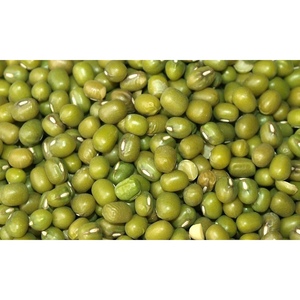 Compre Frijoles Mung Premium, Legumbres Verdes Naturales Enteras, Nutritivas, de Sabor Suave, Grado Alimenticio, Suministro a Granel para Exportación - Product Image 1