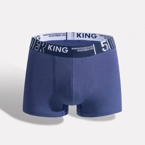 Sous-vêtements pour hommes personnalisés caleçons caleçons pour hommes avec logo personnalisé en modal caleçons pour hommes sous-vêtements - Product Image 3