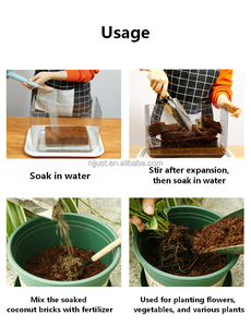 Brique <span class=keywords><strong>de</strong></span> <span class=keywords><strong>coco</strong></span> pour plantes, 100% fibres <span class=keywords><strong>de</strong></span> <span class=keywords><strong>coco</strong></span> organiques naturelles compressées, terreau <span class=keywords><strong>de</strong></span> <span class=keywords><strong>coco</strong></span> riche en nutriments pour la plantation - Product Image 5