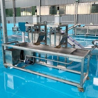 Machine automatique de fabrication de perles de tapioca éclatantes pour bubble tea, ligne de formage de boules éclatantes pour jus