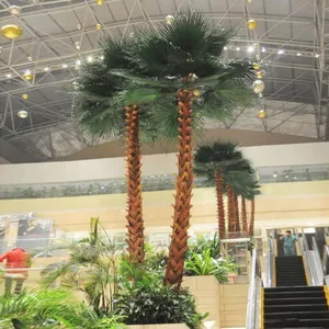 Palmier artificiel de jardin en fibre optique, 2 types de palmiers royaux, bijouterie préservée de dubaï, pour l'extérieur, exportation en plein air
