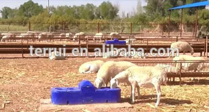 Abreuvoir en <span class=keywords><strong>plastique</strong></span> LLDPE Terrui de 2,8 m pour bétail, moutons, chevaux, animaux - Product Image 5