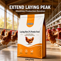 Prémélange à 2 % pour poules pondeuses - Complément nutritionnel équilibré en vitamines et minéraux pour l'alimentation des volailles, service de formulation personnalisée OEM