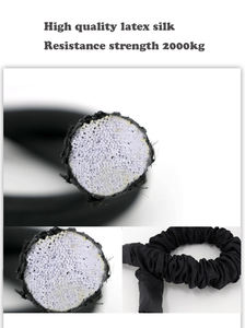 100lbs 150lbs 200lbs 250lbs Set lengkap kabel Bungee harnes tari Terbang Yoga & perlengkapan Lompat Bungee aksesoris Pilates - Product Image 5