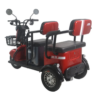 Tricycle électrique familial à deux places pour personnes âgées, 24V 500W, carrosserie ouverte, scooter cargo, pour passagers et enfants