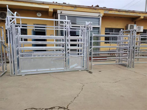 Puerta de cabeza bovina ajustable con barras antigolpes para soluciones de restricción de aplastamiento de <span class=keywords><strong>ganado</strong></span> - Product Image 2