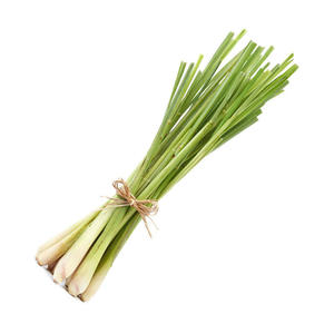 แป้ง cymbopogon citratus บริสุทธิ์<span class=keywords><strong>100</strong></span>% ใบผงตะไคร้ - Product Image 5