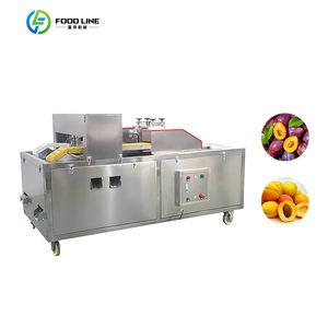 Máquina de Alta Calidad para Quitar el Hueso de <span class=keywords><strong>Frutas</strong></span>, para la Elaboración de <span class=keywords><strong>Frutas</strong></span> de Alta Calidad/Máquina Deshuesadora de <span class=keywords><strong>Frutas</strong></span> de Fácil Operación - Product Image 3