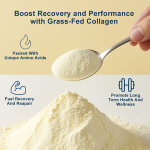 Poudre de collagène en gros, multi-saveurs, marque privée, poudre de collagène pour la peau - Product Image 4