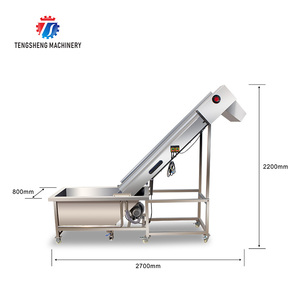Máy chế biến thực phẩm công nghiệp, làm sạch rau củ quả, cam quýt, quả chanh dây, có chức năng tạo bọt trước khi rửa TS-T30A - Product Image 2