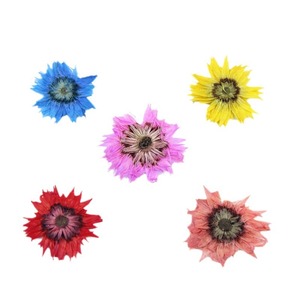 Anaphalis <span class=keywords><strong>Sinica</strong></span> prensada seca Natural de 0,8-1cm para decoración de fundas de teléfono, suministros de Arte de uñas, joyería de resina y decoraciones para álbumes de recortes - Product Image 5