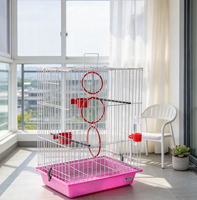 Cage volière pour oiseaux Budget Wire, base rose facile à nettoyer, poignée supérieure, anneaux d'escalade interactifs, perchoirs et coupelles à nourriture rouges