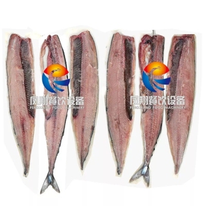 Machine à découper les filets de sardines GB-180 - Product Image 2