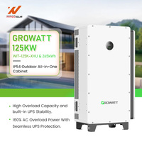 Système de stockage d'énergie solaire hybride Growatt 125 kW 261 kWh 265 kWh, solution tout-en-un pour armoire extérieure C&I ESS