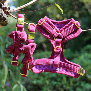 Accesorios para Cachorros, Arnés de Perro de Terciopelo de Pana Rojo Ajustable con Logotipo de PVC Personalizado con Correas y Collares para Mascotas - Product Image 1