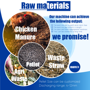 RICHI Ring Die Fertilizer Granulator Machine Personalizada 3-4t/h Pollo <span class=keywords><strong>Caballo</strong></span> <span class=keywords><strong>Estiércol</strong></span> Fertilizante orgánico Máquina <span class=keywords><strong>de</strong></span> pellets - Product Image 2