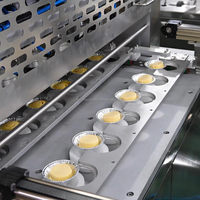 Nouvelle machine de pressage entièrement automatique en acier inoxydable 304 pour coques de tartelettes et fonds de tarte aux pommes, programmable, 380V, 1500kg, garantie 1 an