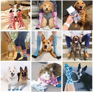 <span class=keywords><strong>Chaussettes</strong></span> personnalisées avec le visage de votre animal, <span class=keywords><strong>chaussettes</strong></span> personnalisées avec la <span class=keywords><strong>photo</strong></span> de votre <span class=keywords><strong>chien</strong></span> ou de votre chat, <span class=keywords><strong>chaussettes</strong></span> amusantes personnalisées, cadeau pour les amoureux des animaux - Product Image 5