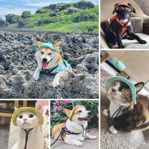 Chapeau de soleil réglable en coton doux pour animaux de compagnie Chapeau de seau extérieur Protection solaire Bonnet pour chien - Product Image 4