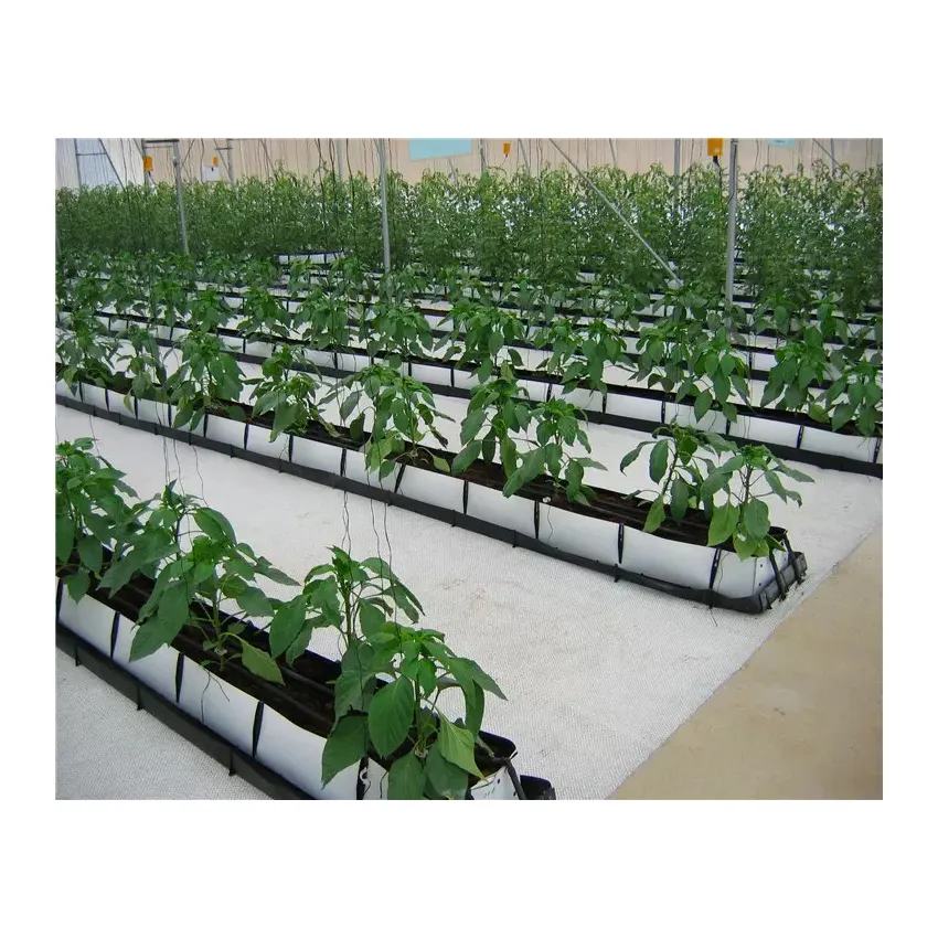 Cheap price single-span agricultural greenhouse structure with hydroponic system