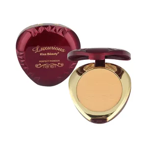 Oil-control Brighten Concealer Whitening Organic Face Cover Powder Foundation