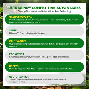 Extracto de Raíz de Ginseng Premium, Nutracéutico Funcional para la Salud <span class=keywords><strong>Cognitiva</strong></span>, Anti-Fatiga y Energizante - Product Image 4